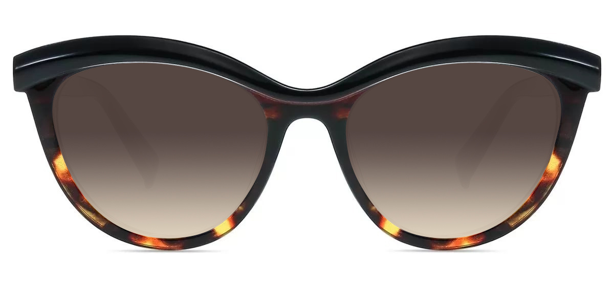 Black Tortoise
