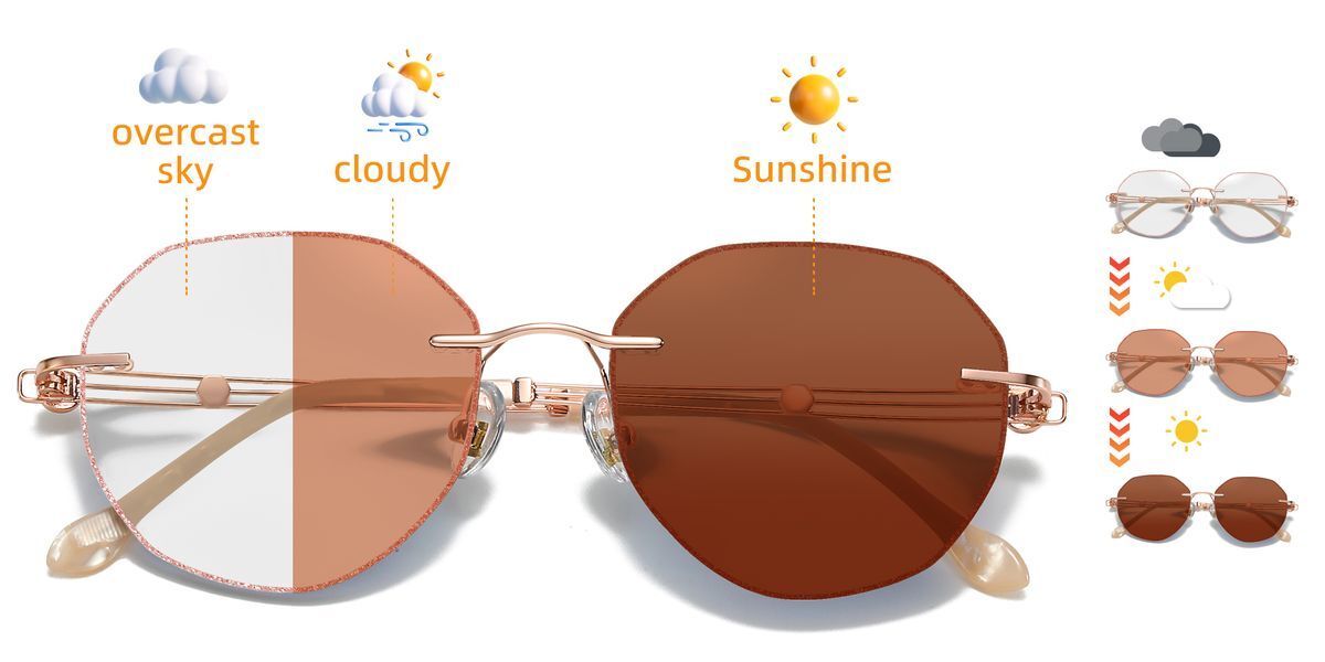 https://file.foglax.com/assets/preview/b3/r135h__preview.jpg